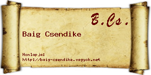 Baig Csendike névjegykártya